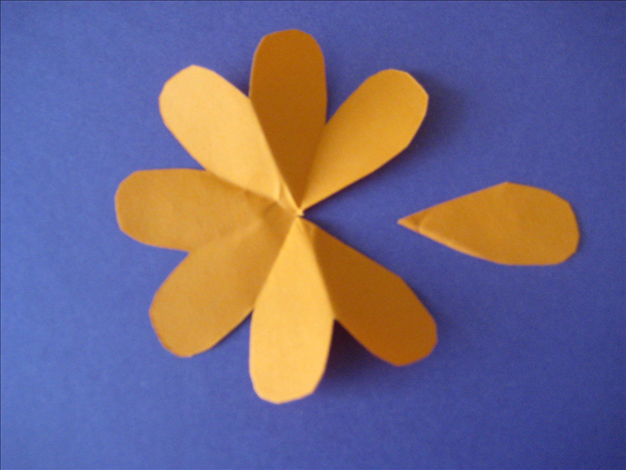 Carefully  unfold the papers.
Cut out one of the petals along the crease lines.