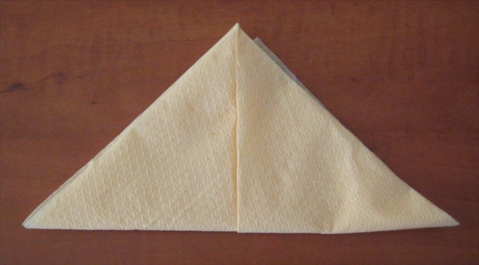 Result

Flip the napkin over to the other side again.