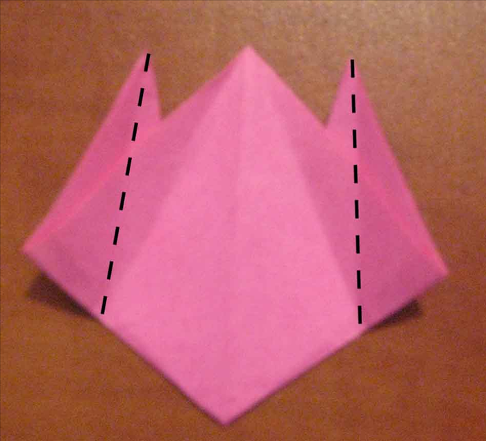 Flip the paper over to the back side
.
Make a horizontal fold from the 2 top side points to the bottom of the slanted crease points.
unfold