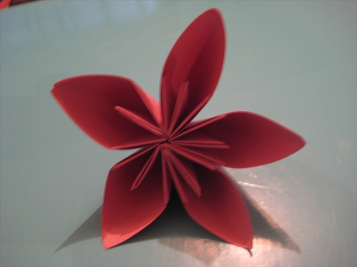 Glue all the the petals together.
 
Your Kusadama flower is finished!