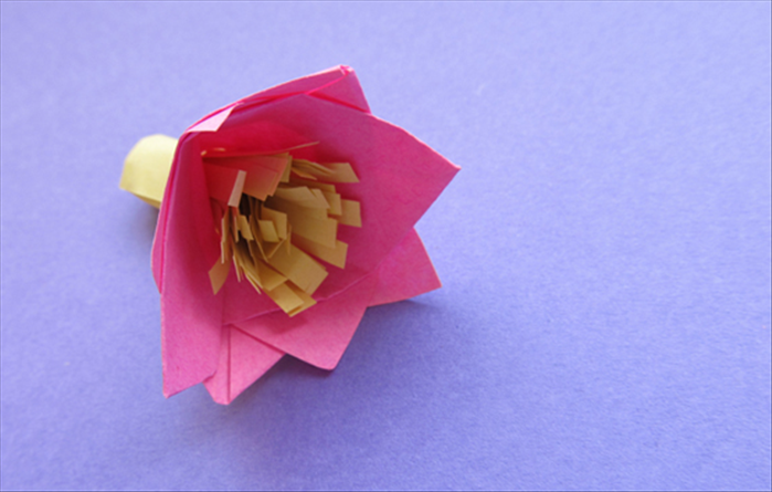 Materials:
One square for the petals
One square for the stamen
Paper glue stick
Scissors
