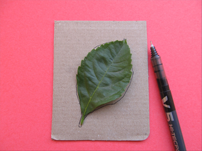 Draw freehand or trace the outline of a leaf on the cardboard.
Cut out the leaf shape
