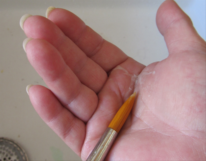 When you have finished using the brushes put soap in the palm of your hand and swirl the bristles in the soap.