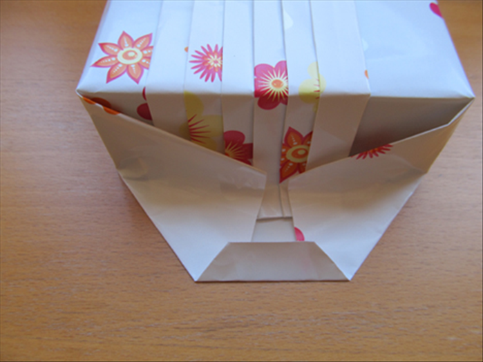 Make a small fold at the bottom layer.