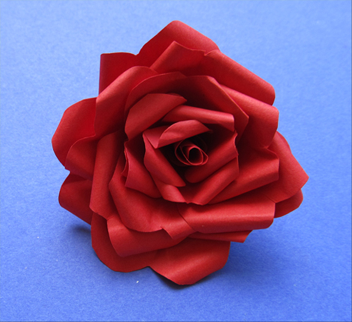 Put glue on the cut edge and place it in the center of the rose.
Your beautiful rose is finished!
