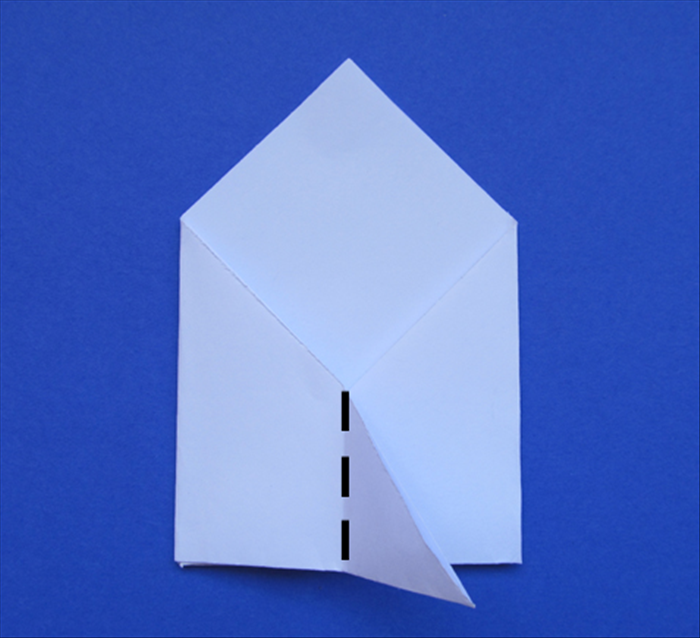 Bring the bottom right point of the flap to the left edge to fold it in half.