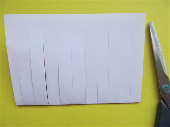 You can fold your paper and cut strips from the folded end any width you like.
They do not have to be measured or equal.
