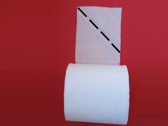 Unroll a few squares of toilet paper. Do not rip them off. 

Fold the right top corner down to the left side to create a triangle.