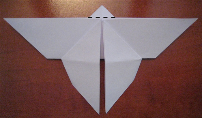 Flip the paper over to back side.

Fold down the triangle at the top.
