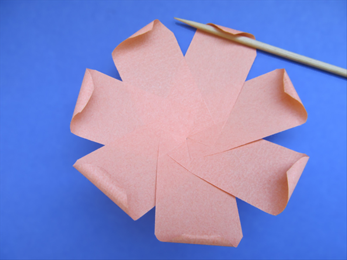 <p> Flip the flower over to the front again.</p> 
<p> Roll the petal tips a little bit with the skewer.</p> 
<p>  </p>