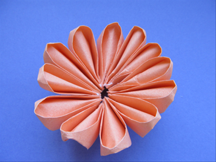 When you have glued all the petals bring the ends around and glue them together to make a ring.