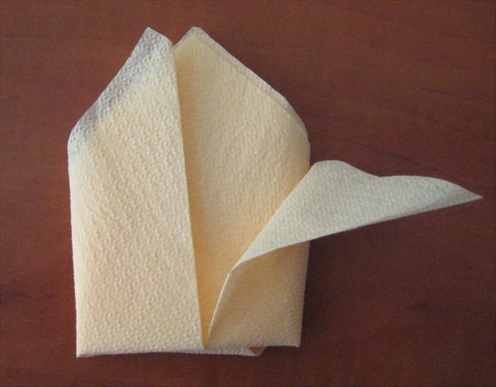 Flip the napkin over and pull  the points of the top layer down to the sides.
