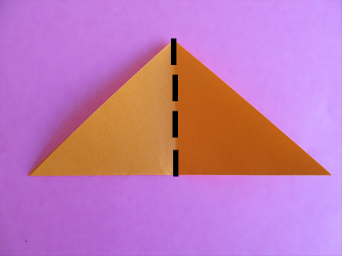 <p> Bring the bottom points together to fold it in half again</p>