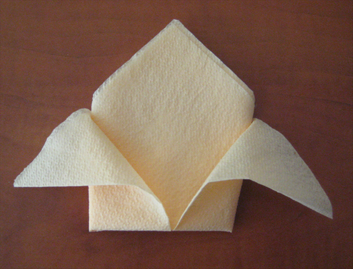 Materials:
1 square napkin