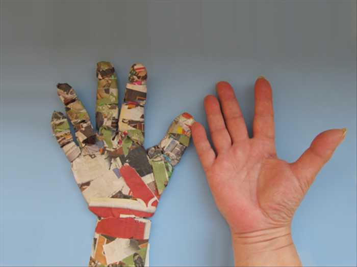 Place your hand palm up next to the model.
Look for the highest areas of your hand.
