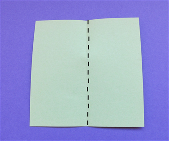 Fold the paper in half vertically.
Unfold